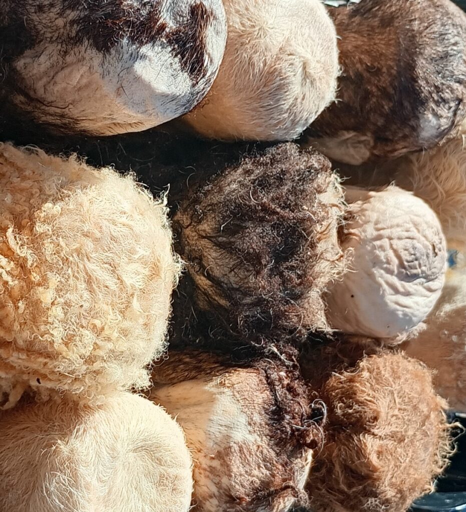 Mardilaat 2025 Mardilaat 2025